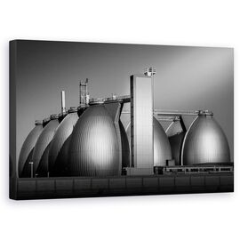 Tablou Canvas - Oua - - Roveli