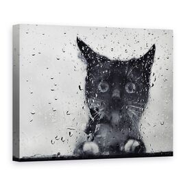 Tablou Canvas - Panica - - Roveli