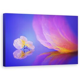 Tablou Canvas - Mesaj Pe Frunza - - Roveli