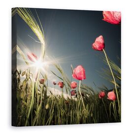 Tablou Canvas - A Venit Vara, Marime: 90 x 90 cm - - Roveli