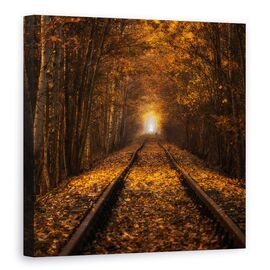 Tablou Canvas - Tunelul Toamnei, Marime: 90 x 90 cm - - Roveli