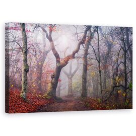 Tablou Canvas - Megand Pe Vechiul Drum, Marime: 50 x 80 cm - - Roveli