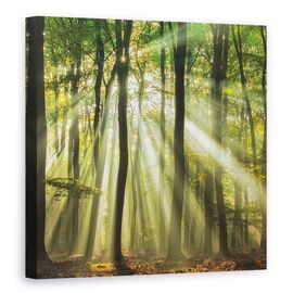 Tablou Canvas - Sunny Incepe Ziua, Marime: 90 x 90 cm - - Roveli
