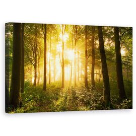 Tablou Canvas - Lumina In Padure, Marime: 50 x 80 cm - - Roveli