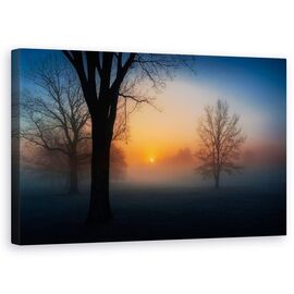 Tablou Canvas - Rasarit Cetos De Soare, Marime: 50 x 80 cm - - Roveli
