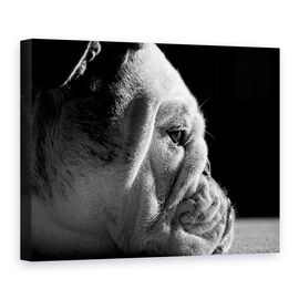 Tablou Canvas - Printre Riduri - - Roveli