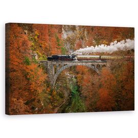 Tablou Canvas - Tren De Muzeu, Marime: 50 x 80 cm - - Roveli