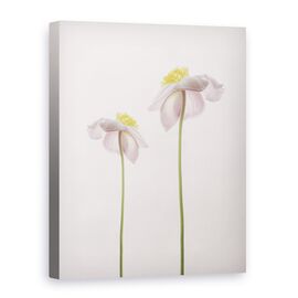 Tablou Canvas - O Amintire De Vara, Marime: 75 x 100 cm - - Roveli