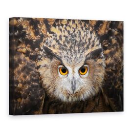 Tablou Canvas - Umfla, Marime: 75 x 100 cm - - Roveli