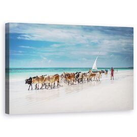 Tablou Canvas - Vitele Masai Pe Plaja Zanzibar, Marime: 50 x 80 cm - - Roveli