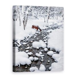 Tablou Canvas - Baut In Zapada, Marime: 75 x 100 cm - - Roveli