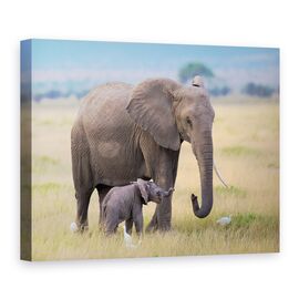 Tablou Canvas - Invatare, Marime: 75 x 100 cm - - Roveli
