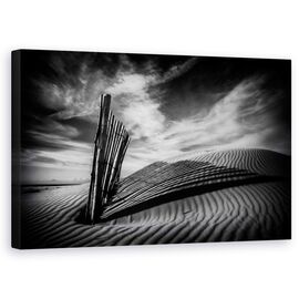 Tablou Canvas - Scartelat, Marime: 50 x 80 cm - - Roveli