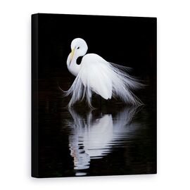 Tablou Canvas - Privind, Marime: 75 x 100 cm - - Roveli
