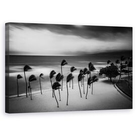 Tablou Canvas - Furtuna Tropicala, Marime: 50 x 80 cm - - Roveli