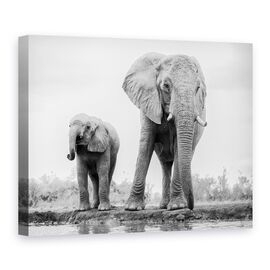 Tablou Canvas - Duo, Marime: 75 x 100 cm - - Roveli