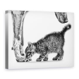 Tablou Canvas - Miroase-Ma, Marime: 75 x 100 cm - - Roveli