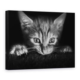 Tablou Canvas - La Film, Marime: 75 x 100 cm - - Roveli