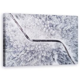 Tablou Canvas - Drum Prin Padurea In Iarna, Marime: 50 x 80 cm - - Roveli