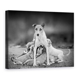Tablou Canvas - Maternitate, Marime: 75 x 100 cm - - Roveli