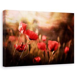 Tablou Canvas - Aerul Diminetii, Marime: 60 x 90 cm - - Roveli
