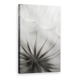 Tablou Canvas - In Inima, Marime: 60 x 90 cm - - Roveli