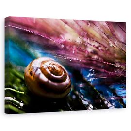 Tablou Canvas - Melc, Marime: 60 x 90 cm - - Roveli