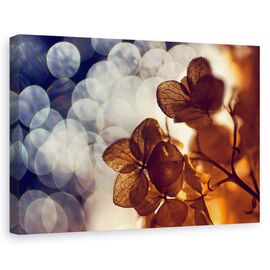 Tablou Canvas - Frunze, Marime: 60 x 90 cm - - Roveli