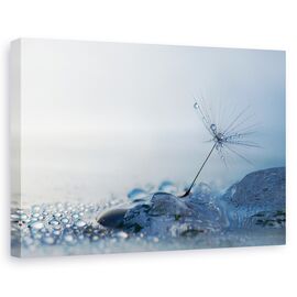 Tablou Canvas - Dimineata Albastra, Marime: 60 x 90 cm - - Roveli