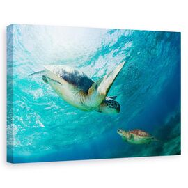 Tablou Canvas - Contact - - Roveli