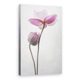 Tablou Canvas - O Mica Atingere, Marime: 60 x 90 cm - - Roveli