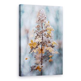 Tablou Canvas - Dantela De Iarna, Marime: 60 x 90 cm - - Roveli