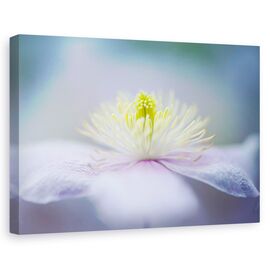 Tablou Canvas - Mayleen, Marime: 60 x 90 cm - - Roveli