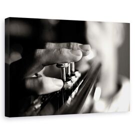 Tablou Canvas - Jucator - - Roveli