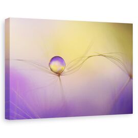 Tablou Canvas - In Brate, Marime: 60 x 90 cm - - Roveli