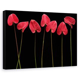 Tablou Canvas - Inimi Botanice, Marime: 60 x 90 cm - - Roveli