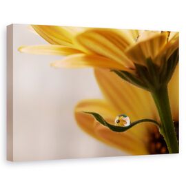 Tablou Canvas - Protejat, Marime: 60 x 90 cm - - Roveli