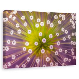 Tablou Canvas - Culori, Marime: 60 x 90 cm - - Roveli