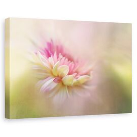 Tablou Canvas - Vis De Vara, Marime: 60 x 90 cm - - Roveli