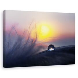 Tablou Canvas - Dimineata, Marime: 60 x 90 cm - - Roveli