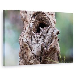Tablou Canvas - Ascuns - - Roveli
