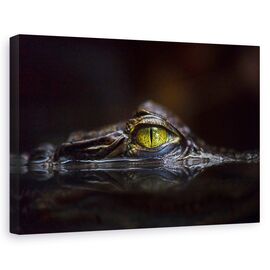 Tablou Canvas - Hypnotic, Marime: 60 x 90 cm - - Roveli