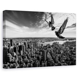 Tablou Canvas - Porumbeii Pe Empire State Building - - Roveli
