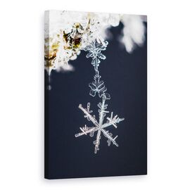 Tablou Canvas - Pandantiv, Marime: 60 x 90 cm - - Roveli