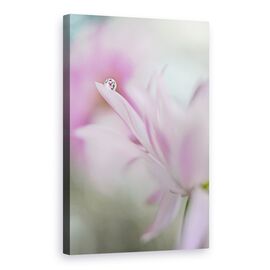 Tablou Canvas - Incantare Roz, Marime: 60 x 90 cm - - Roveli