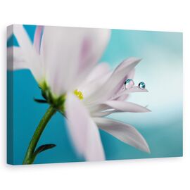 Tablou Canvas - In Compania Turcoaz, Marime: 60 x 90 cm - - Roveli