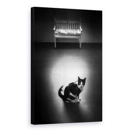 Tablou Canvas - Liniste - - Roveli
