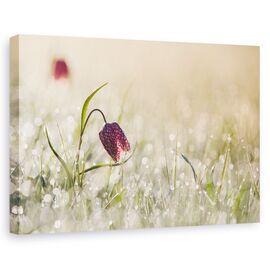 Tablou Canvas - Dimineata, Marime: 60 x 90 cm - - Roveli