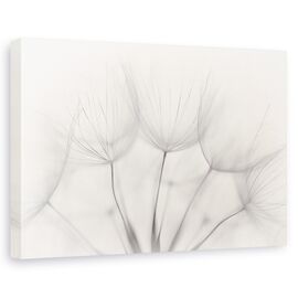 Tablou Canvas - Punct, Marime: 60 x 90 cm - - Roveli