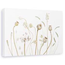 Tablou Canvas - Pods, Marime: 60 x 90 cm - - Roveli